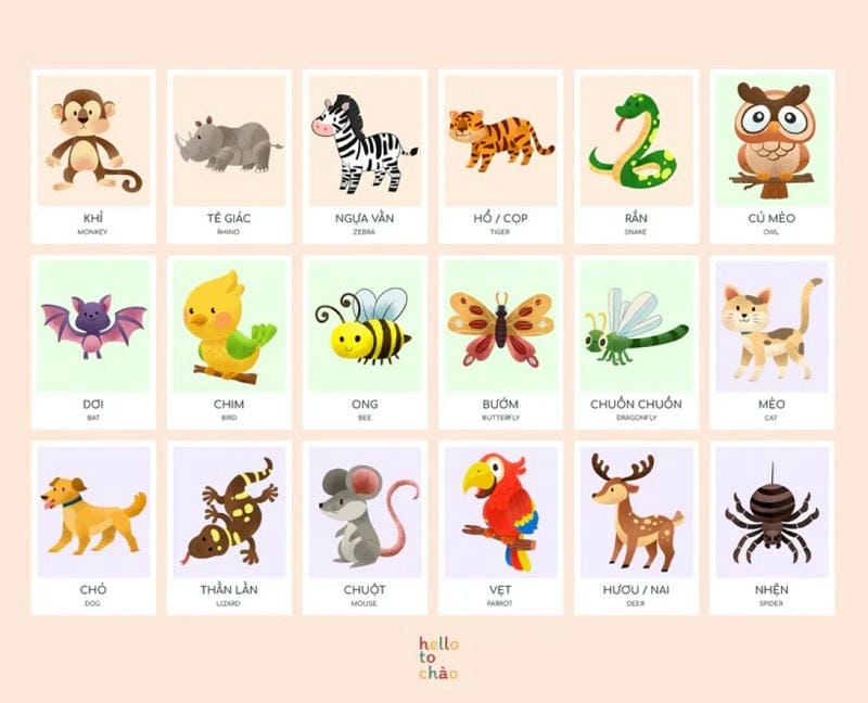 bộ flashcard "Happy Garden" thành một "bảo bối" đa-zi-năng