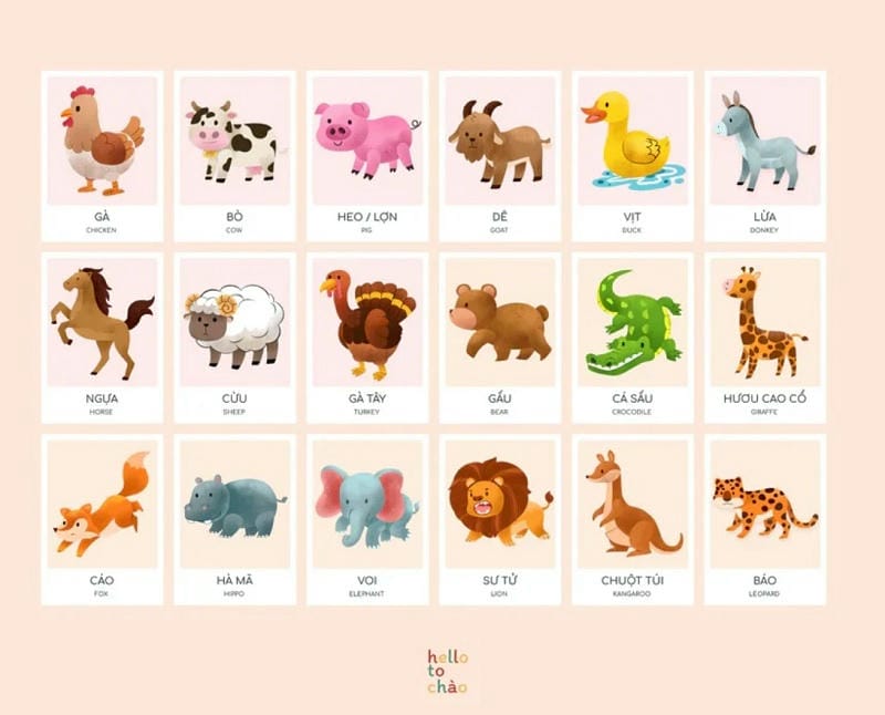 Điều Gì Làm Nên Sự Khác Biệt Của Bộ Flash card "Happy Garden"?